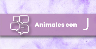 Animales con J