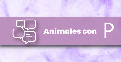 Animales con P