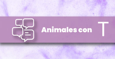 Animales con T