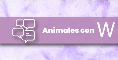 Animales con W